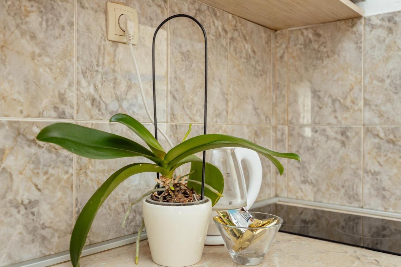 Apartmani Vico ヘルツェグ・ノヴィ エクステリア 写真