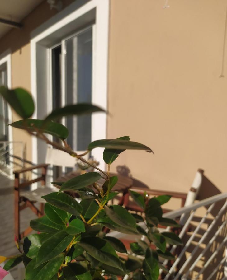Apartmani Vico ヘルツェグ・ノヴィ エクステリア 写真